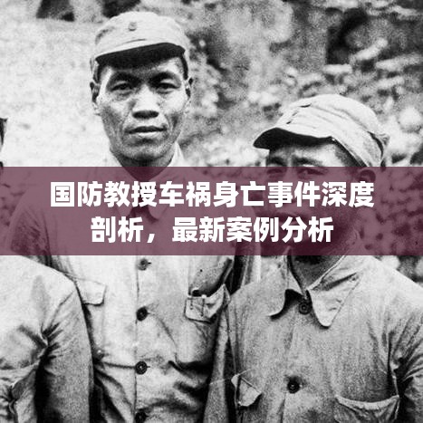 国防教授车祸身亡事件深度剖析，最新案例分析