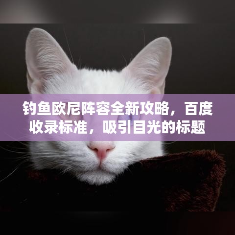 钓鱼欧尼阵容全新攻略，百度收录标准，吸引目光的标题