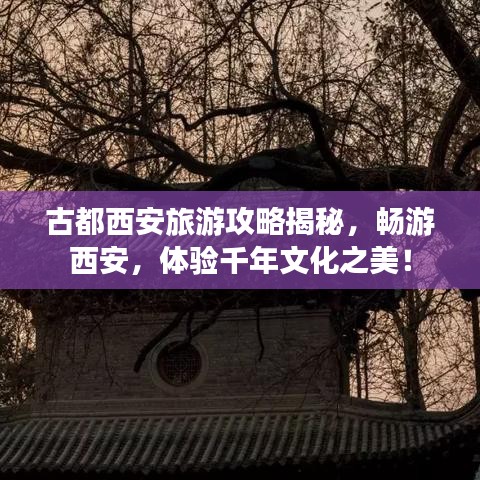 古都西安旅游攻略揭秘，畅游西安，体验千年文化之美！