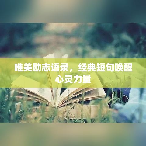 唯美励志语录，经典短句唤醒心灵力量