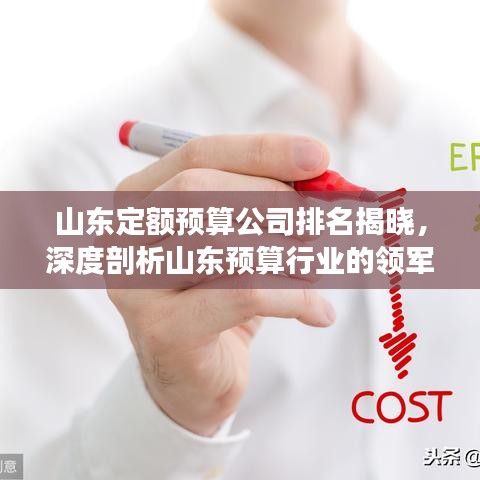 山东定额预算公司排名揭晓，深度剖析山东预算行业的领军者
