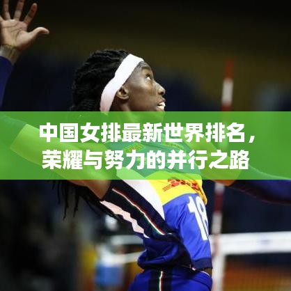 中国女排最新世界排名，荣耀与努力的并行之路
