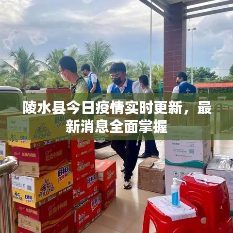 陵水县今日疫情实时更新，最新消息全面掌握