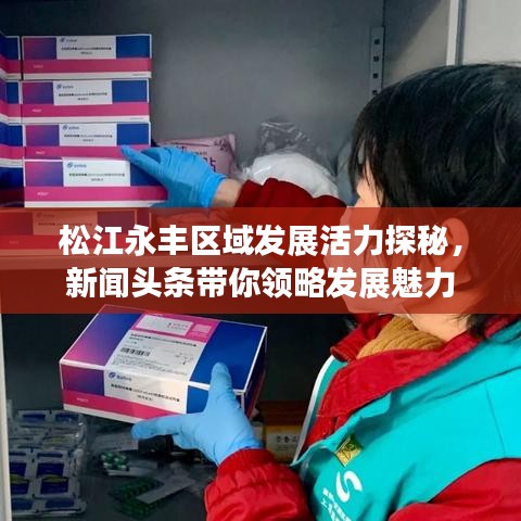松江永丰区域发展活力探秘，新闻头条带你领略发展魅力