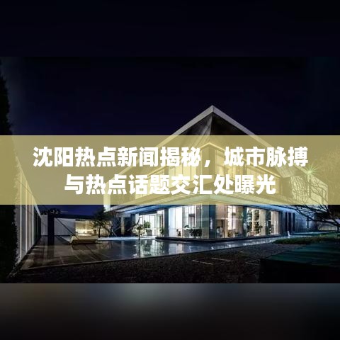 沈阳热点新闻揭秘，城市脉搏与热点话题交汇处曝光