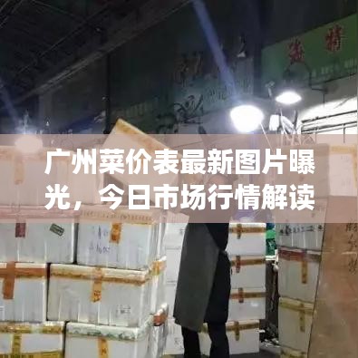 广州菜价表最新图片曝光，今日市场行情解读与购买指南