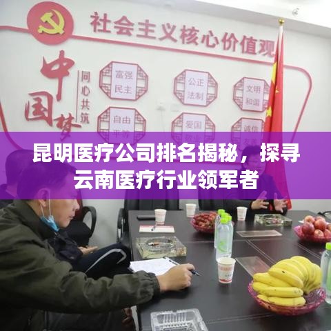 昆明医疗公司排名揭秘，探寻云南医疗行业领军者
