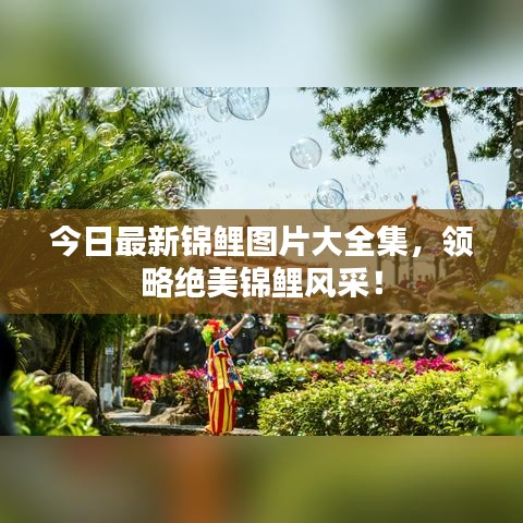 今日最新锦鲤图片大全集，领略绝美锦鲤风采！