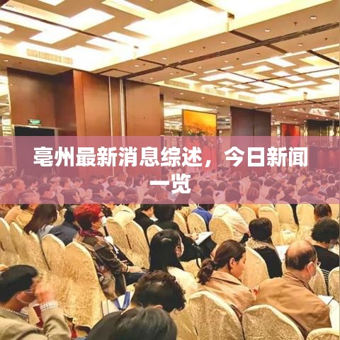 亳州最新消息综述，今日新闻一览