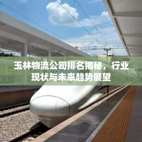 玉林物流公司排名揭秘，行业现状与未来趋势展望