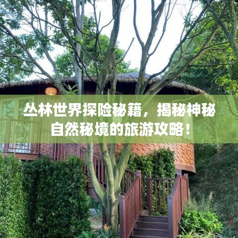 丛林世界探险秘籍，揭秘神秘自然秘境的旅游攻略！