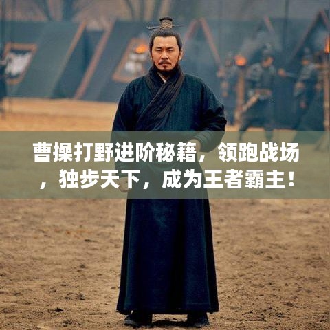 曹操打野进阶秘籍，领跑战场，独步天下，成为王者霸主！