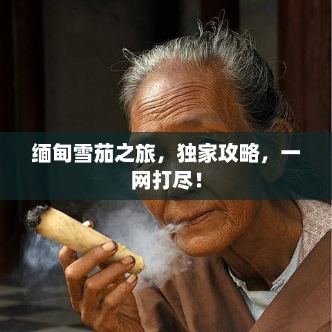 缅甸雪茄之旅，独家攻略，一网打尽！