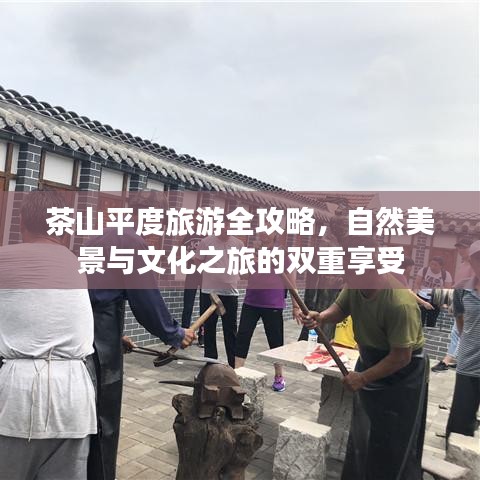 删华就素 第3页