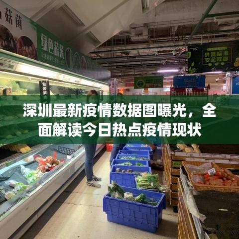深圳最新疫情数据图曝光，全面解读今日热点疫情现状