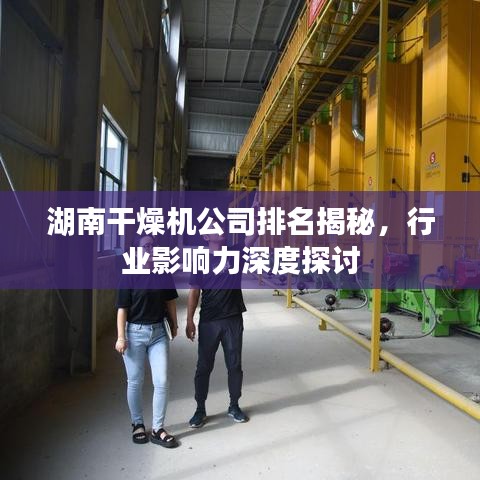 湖南干燥机公司排名揭秘，行业影响力深度探讨