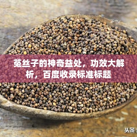 菟丝子的神奇益处，功效大解析，百度收录标准标题