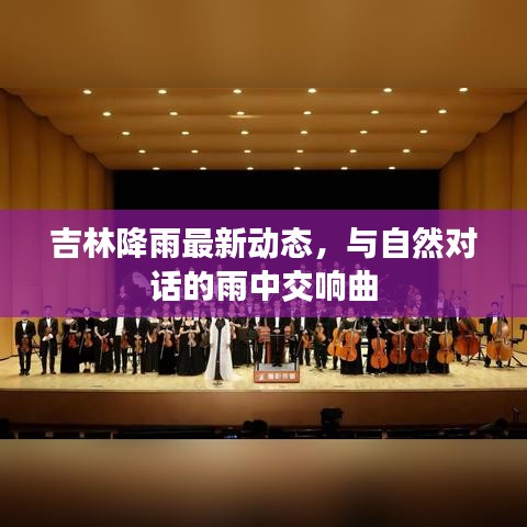 吉林降雨最新动态，与自然对话的雨中交响曲
