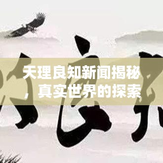 天理良知新闻揭秘，真实世界的探索力量