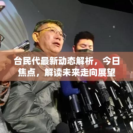 台民代最新动态解析，今日焦点，解读未来走向展望