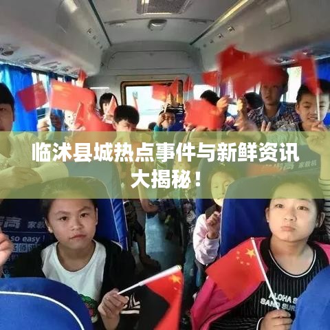 临沭县城热点事件与新鲜资讯大揭秘！