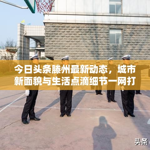 今日头条滕州最新动态，城市新面貌与生活点滴细节一网打尽