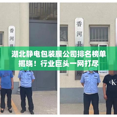 湖北静电包装膜公司排名榜单揭晓！行业巨头一网打尽