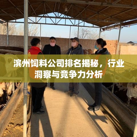滨州饲料公司排名揭秘，行业洞察与竞争力分析