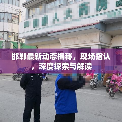 邯郸最新动态揭秘，现场指认，深度探索与解读