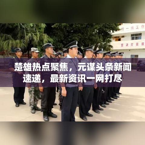 楚雄热点聚焦，元谋头条新闻速递，最新资讯一网打尽