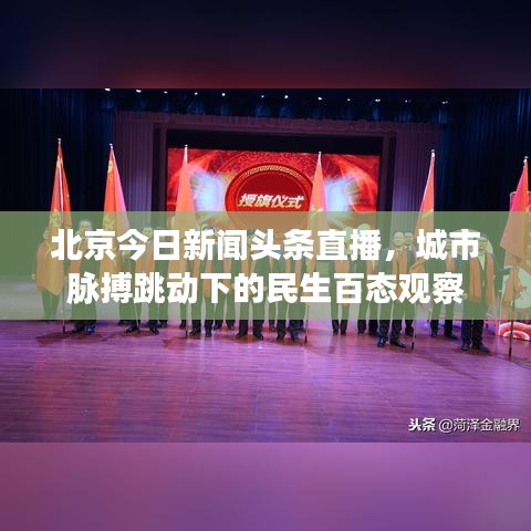 北京今日新闻头条直播，城市脉搏跳动下的民生百态观察