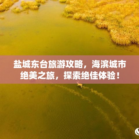 盐城东台旅游攻略，海滨城市绝美之旅，探索绝佳体验！