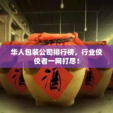 华人包装公司排行榜，行业佼佼者一网打尽！