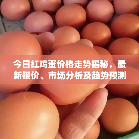 今日红鸡蛋价格走势揭秘，最新报价、市场分析及趋势预测