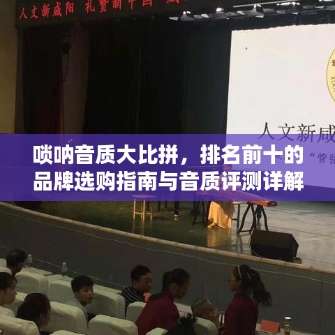 唢呐音质大比拼，排名前十的品牌选购指南与音质评测详解