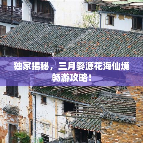 独家揭秘，三月婺源花海仙境畅游攻略！