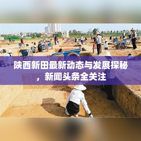 陕西新田最新动态与发展探秘，新闻头条全关注