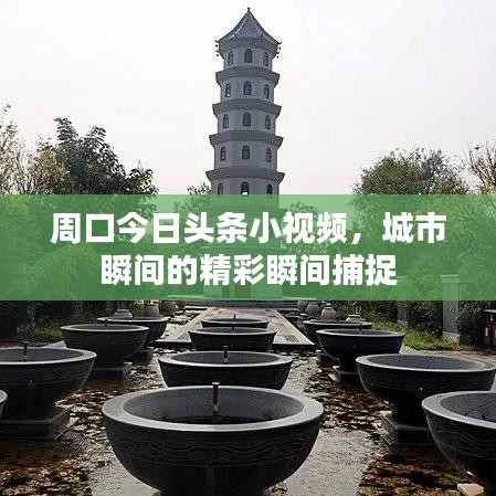 周口今日头条小视频，城市瞬间的精彩瞬间捕捉