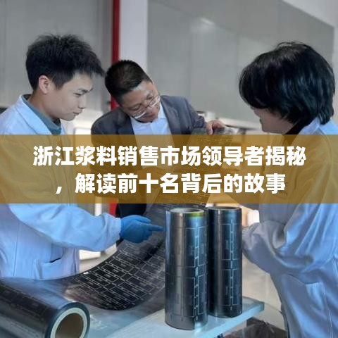 浙江浆料销售市场领导者揭秘，解读前十名背后的故事