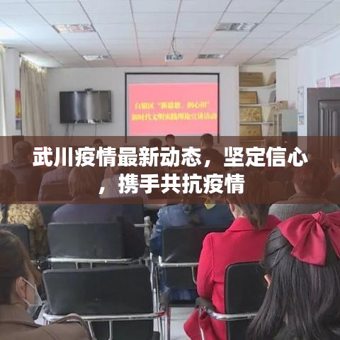 武川疫情最新动态，坚定信心，携手共抗疫情