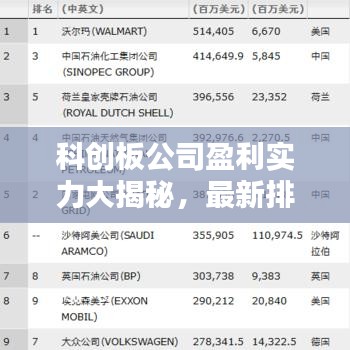 科创板公司盈利实力大揭秘，最新排名表独家呈现！