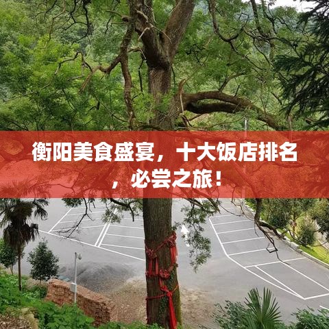 衡阳美食盛宴，十大饭店排名，必尝之旅！
