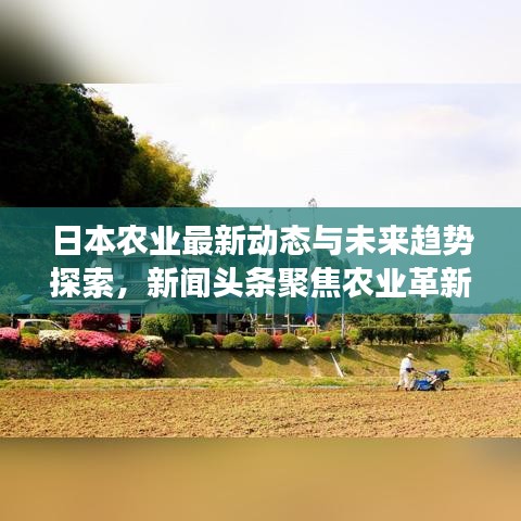 日本农业最新动态与未来趋势探索，新闻头条聚焦农业革新发展