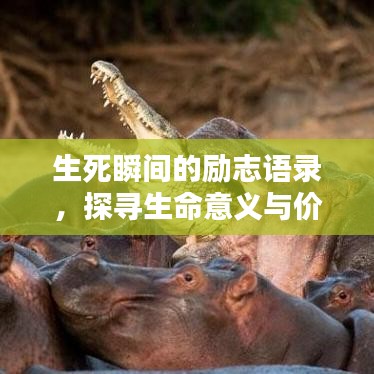 生死瞬间的励志语录，探寻生命意义与价值启示