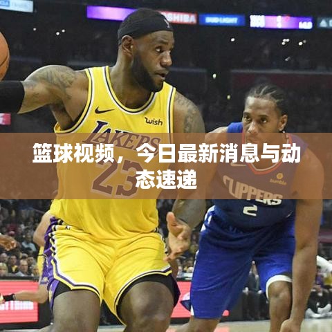 篮球视频，今日最新消息与动态速递