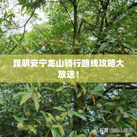 昆明安宁龙山骑行路线攻略大放送！