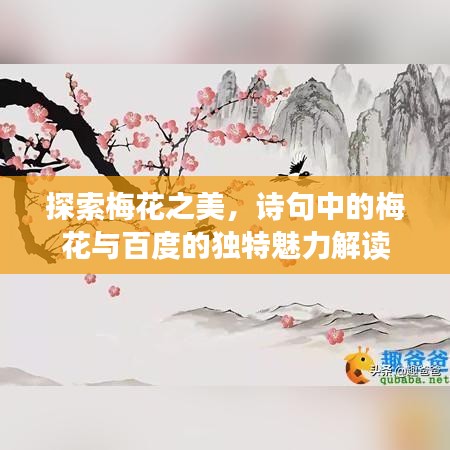 探索梅花之美，诗句中的梅花与百度的独特魅力解读