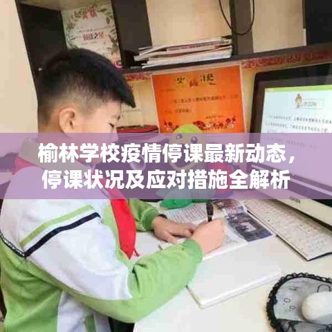 榆林学校疫情停课最新动态，停课状况及应对措施全解析