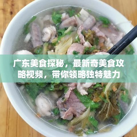 广东美食探秘，最新奇美食攻略视频，带你领略独特魅力