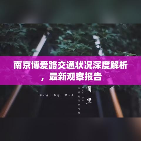 南京博爱路交通状况深度解析，最新观察报告